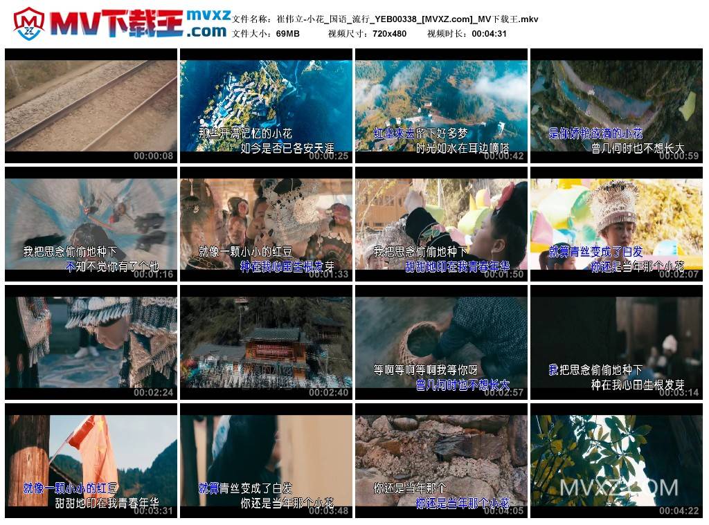 崔伟立-小花_国语_流行_YEB00338